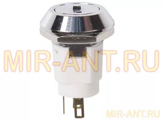 Выключатель ключ диам 16 250V 2А (3с) ON-ON  REXANT