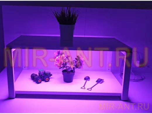 Полка для цветов и рассады с фитоподсветкой, высота 25см, серый "ЯиСАД 212439"  60х30, сосна