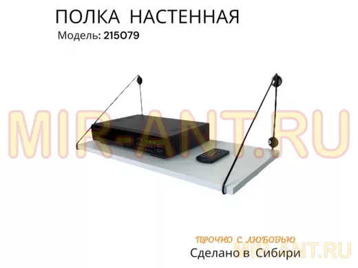 Полка для видеорегистратора и монитора 