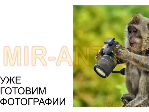 Секция для антенных мачт диаметром 51мм с заглушкой и болтом 