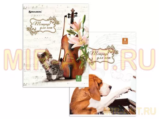Тетрадь для нот А4,  8л., "BR-72938" обл.мел.карт., вертикальная, Зверята (2 вида)