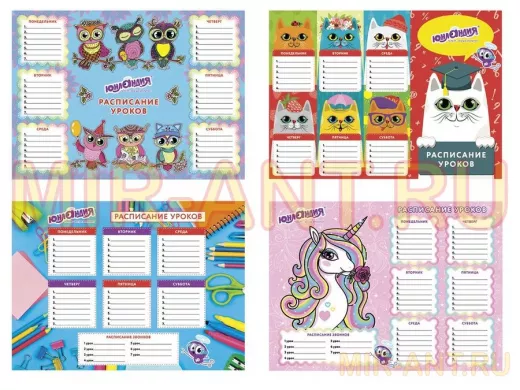 Расписание уроков А4, для девочек "BR-73341", ассорти (4 вида)