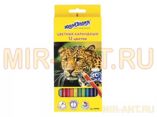 Карандаши цветные "BR-75638"  "МИР ЖИВОТНЫХ", 12 цветов, классические заточенные