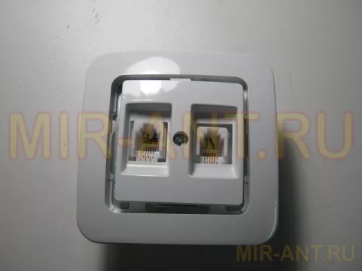 MAKEL Lillium бел б/вст  роз TF 2-ая 71034